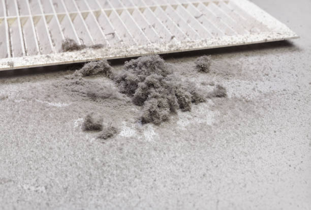 Best Affordable Air Duct Cleaning  in Lakewood, CO