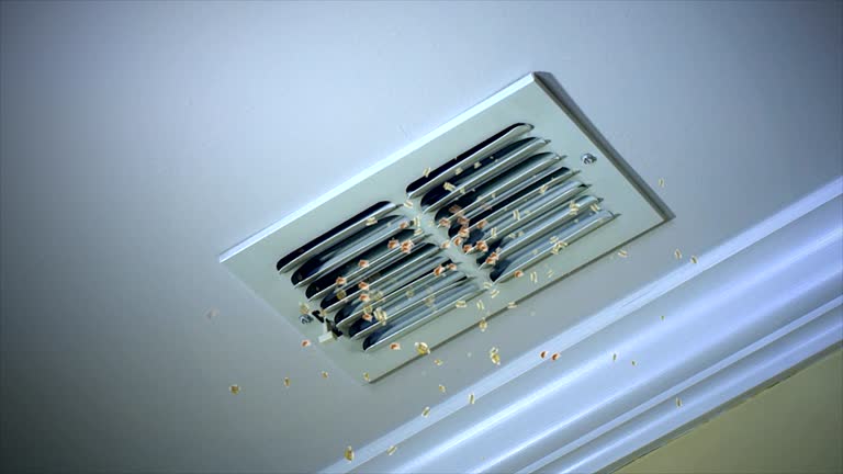  Lakewood, CO Airduct Cleaning Pros
